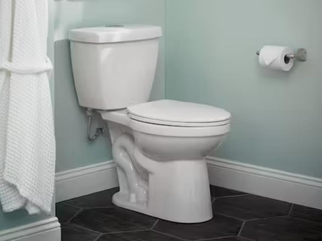 Remove & Replace Toilet