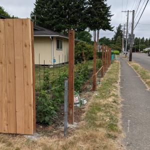 Backyard Wooden Fence Installation